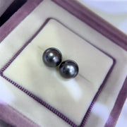 Fashion Sea Pearls Stud Earrings